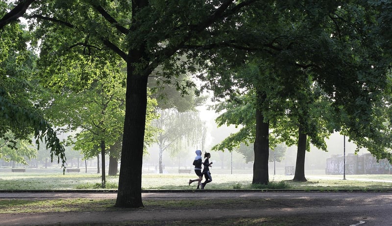 Outdoor Fitness